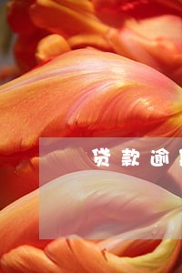 贷款逾期未还 罚息多少 贷款逾期未还 罚息多少